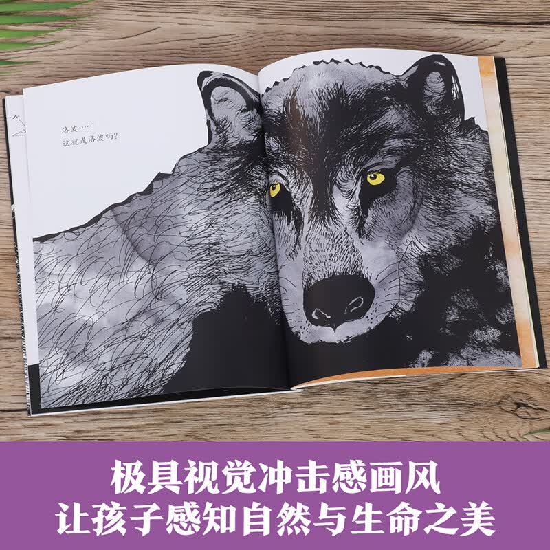 乐乐趣 儿屿-阿部弘士编绘版西顿动物故事 (全5册)点读版 儿童文学6-12岁小学生写作能力培养 桥梁书 经典儿童文学读物 性格品质培养 阿部弘士编绘版西顿动物故事(5册)