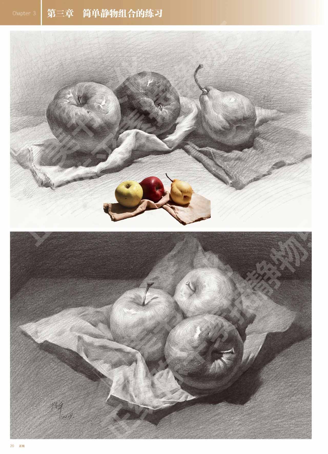 【团购优惠】联考组合2020正统陈平素描静物5横构图临摹范本写生书