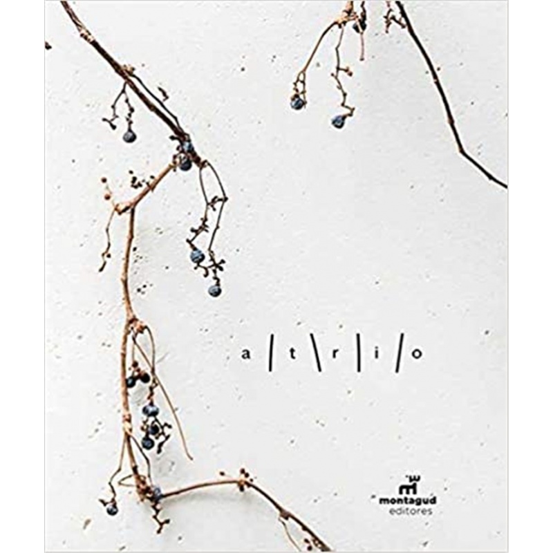 现货 ATRIO (Spanish and English Edition) 房 19 英文原版书