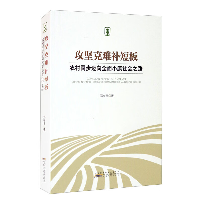 攻坚克难补短板：农村同步迈向全面小康社会之路