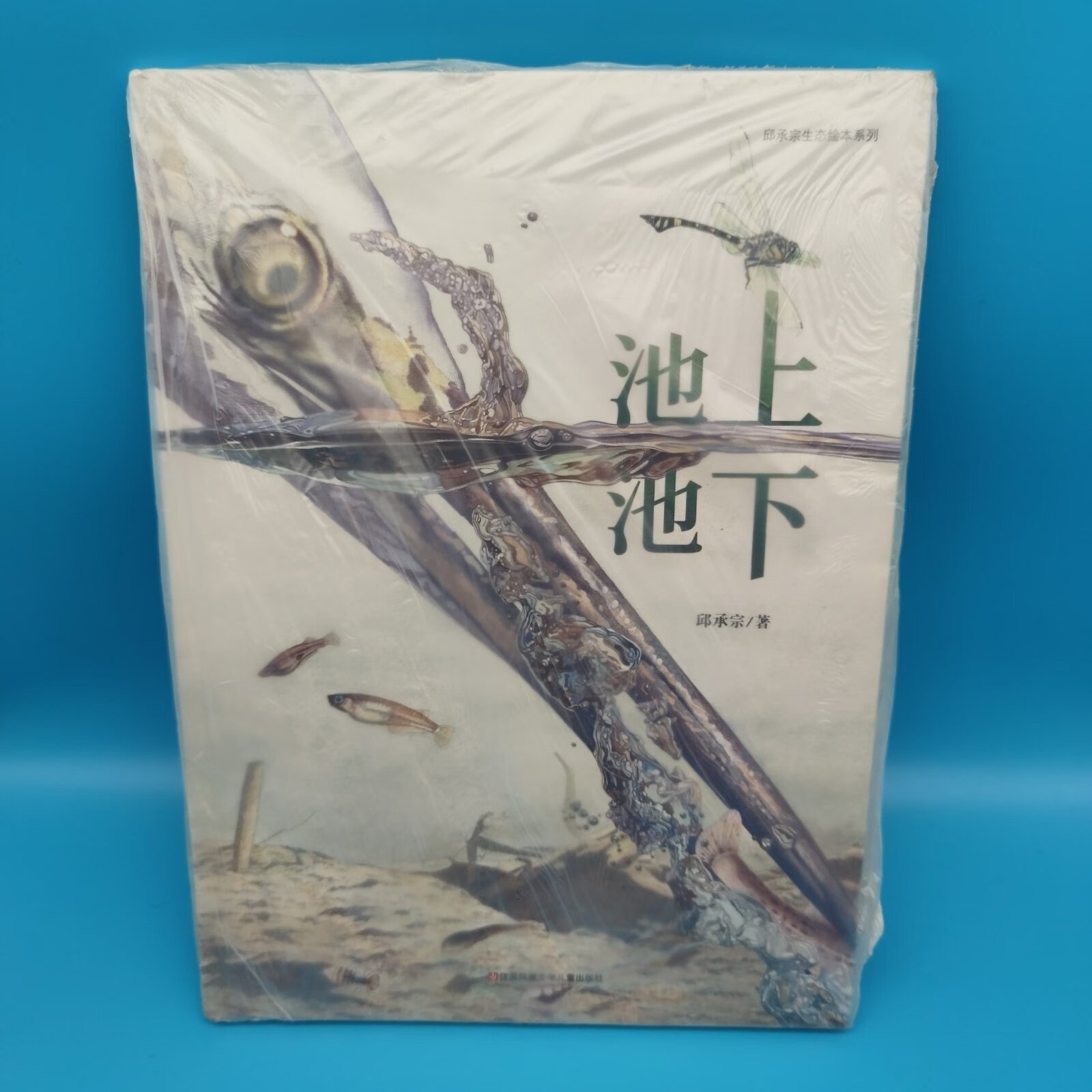 [二手9成新] 首届丰子恺优秀儿童图画书奖绘本:池上池下(随书附赠蜻蜓