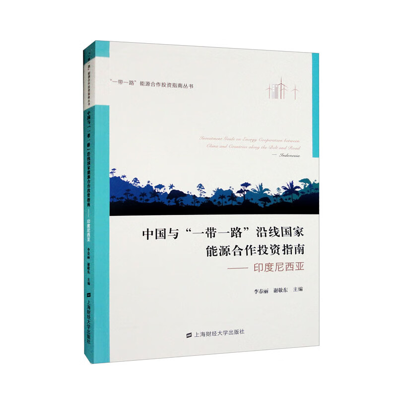 中国与“一带一路”沿线国家能源合作投资指