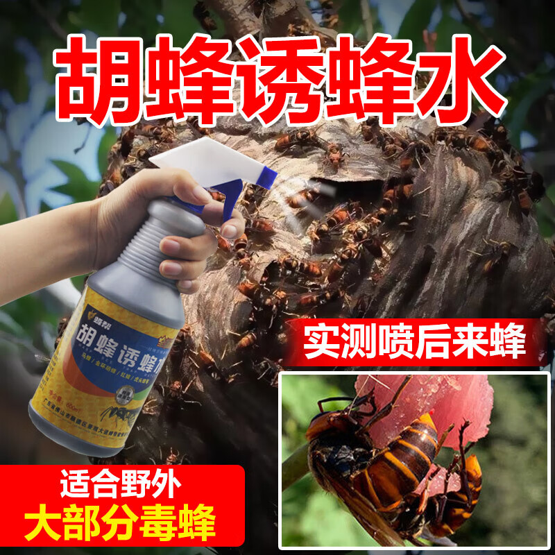 马蜂胡蜂金环马蜂诱蜂水诱金环大黑蜂红娘招蜂诱蜂水 胡蜂诱蜂水100ml