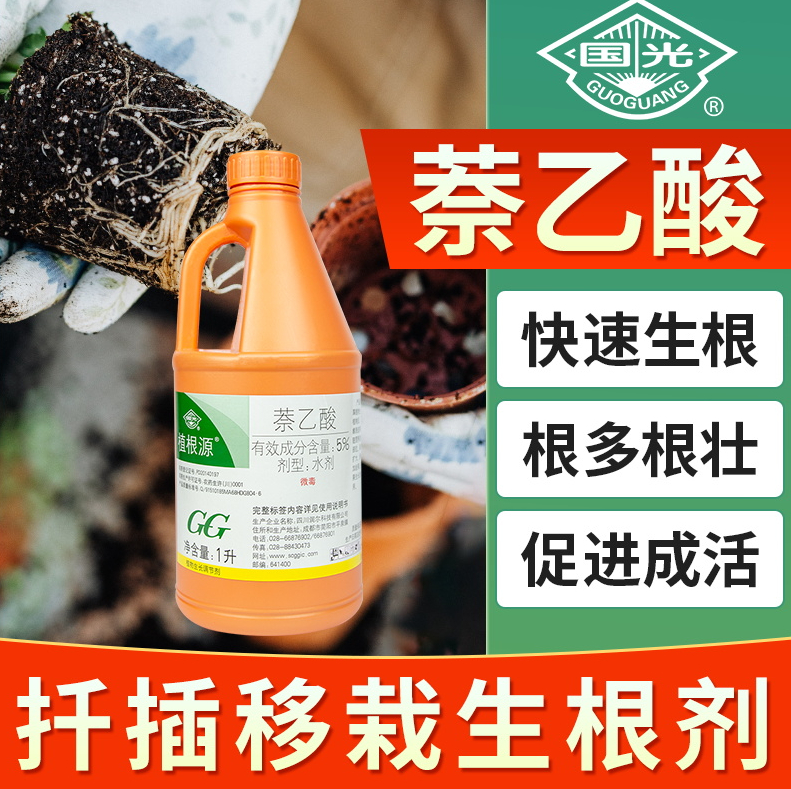 果树扦插女贞苗木花卉移栽通用壮苗发根生根剂液防结果植物生长调节剂