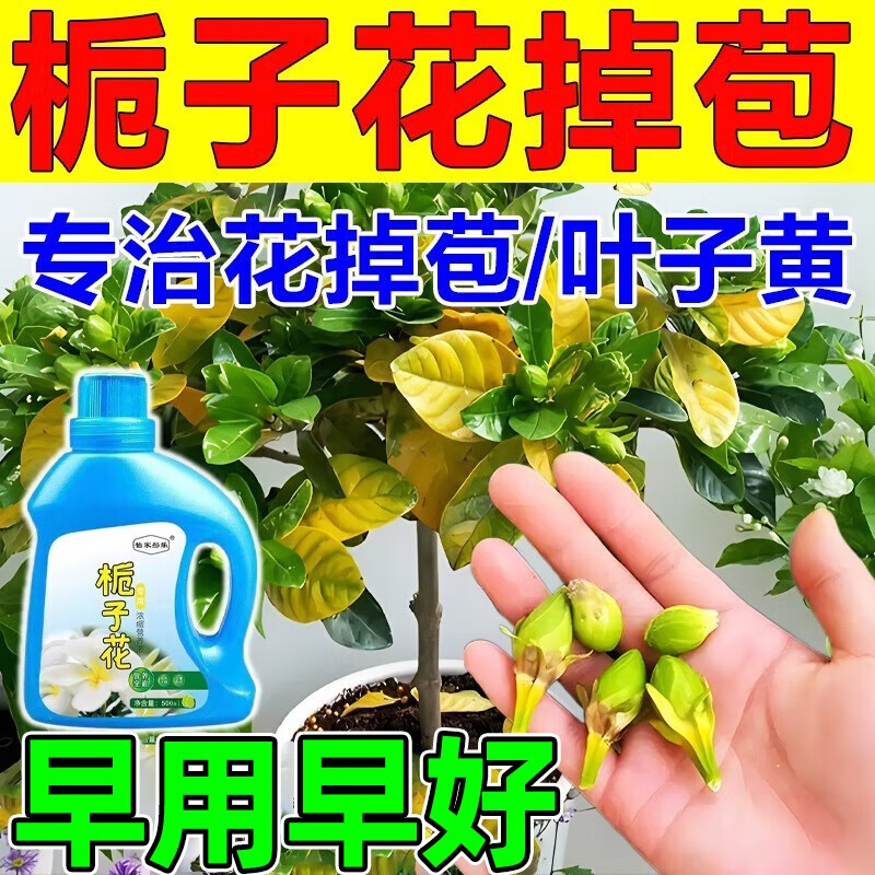 栀子花肥料专用肥栀子花掉花苞叶子发黄干枯烂根专用叶面肥营养液 1瓶装【栀子花专用】