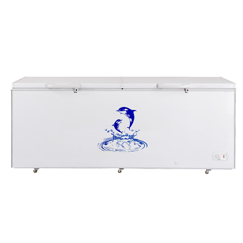 澳柯玛（AUCMA）737升家用大容量冰柜 卧式大冰箱 冷藏冷冻单温冷柜 商超雪糕柜 一级能效 BC/BD-737TC 国家补贴