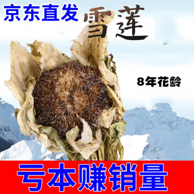 雪莲干花雪连花 新疆冰山雪莲干花雪莲干货一朵泡酒料 夜之君 雪莲一