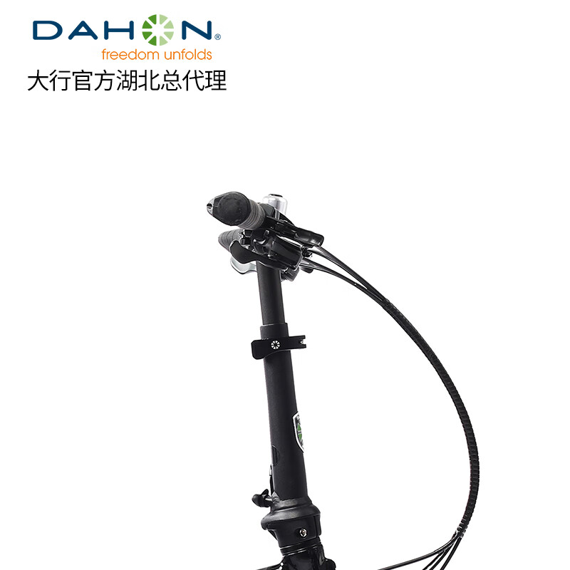 大行（DAHON）20寸大行折叠自行车20变速双牙盘铝合金车架前后线碟刹单车KBA005 黑色【BA接头+油碟】