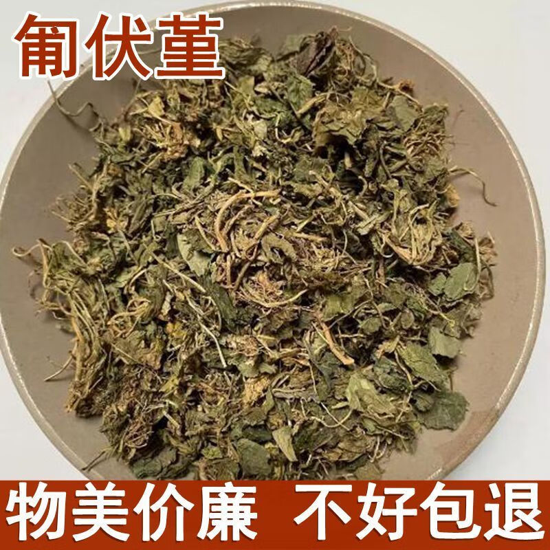 北京同仁堂原料中材匍伏堇 秋浓白 附脓白 抽脓白 秋脓白 黄瓜香500克