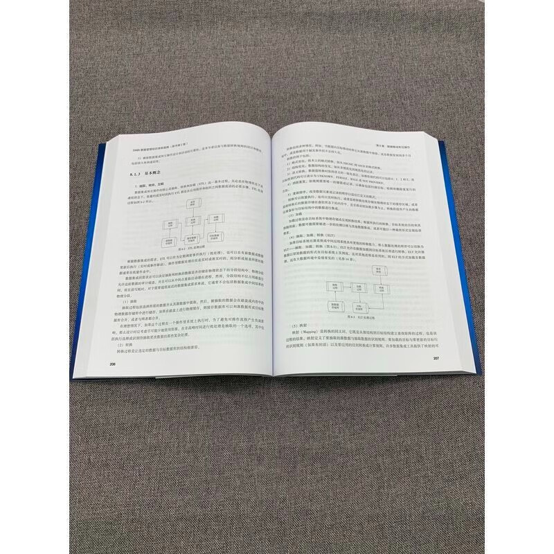 DAMA数据管理知识体系指南（原书第2版）+一本书讲透数据治理：战略、方法、工具与实践2本