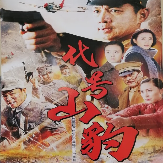 戚迹代号山豹 大型抗日战争电视剧 邢佳栋 屈玥 杨念生 dvd光盘碟片