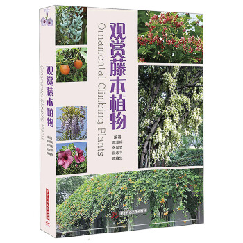 观赏藤本植物 陈恒彬张凤金阮志平 等 著