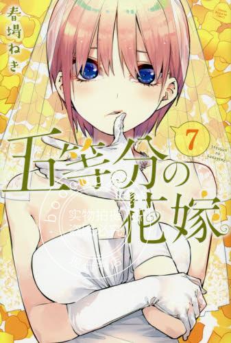 现货 进口日文 五等分的新娘 五等分の花嫁 7