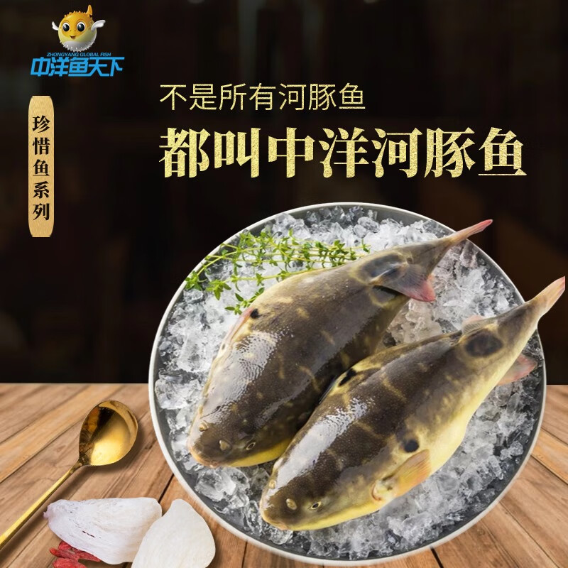 中洋鱼天下 (ZHONGYANG GLOBAL FISH)中洋鱼天下河豚鱼暗纹东方鲀 150g整条生鲜年货 冷冻鱼类海鲜水产 河豚鱼150g/条 16条礼盒装