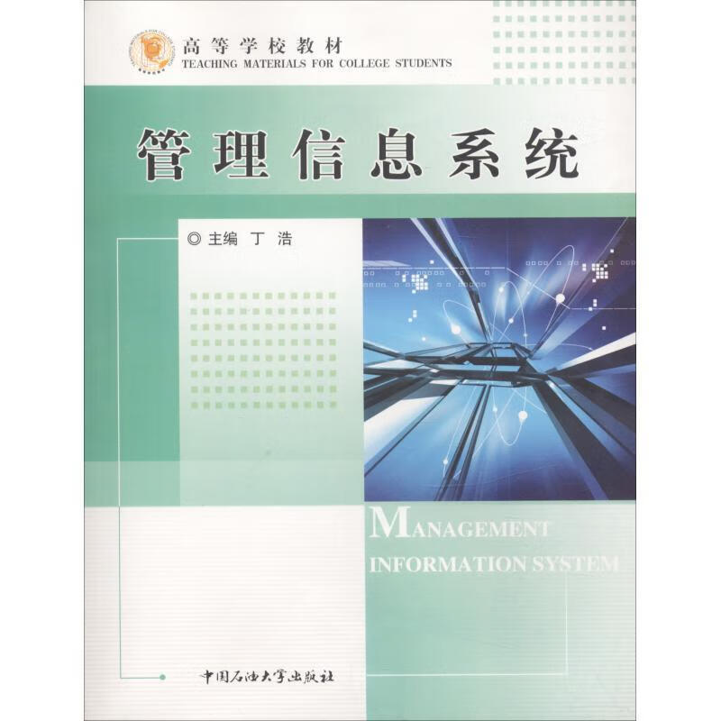 管理信息系统 丁浩【正版】