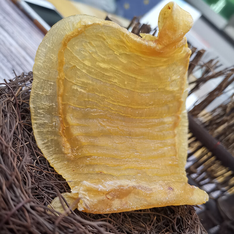 台山赤嘴鳘鱼胶 陈年本港赤嘴台山鱼胶深海鳘鱼胶公肚花胶孕妇月子