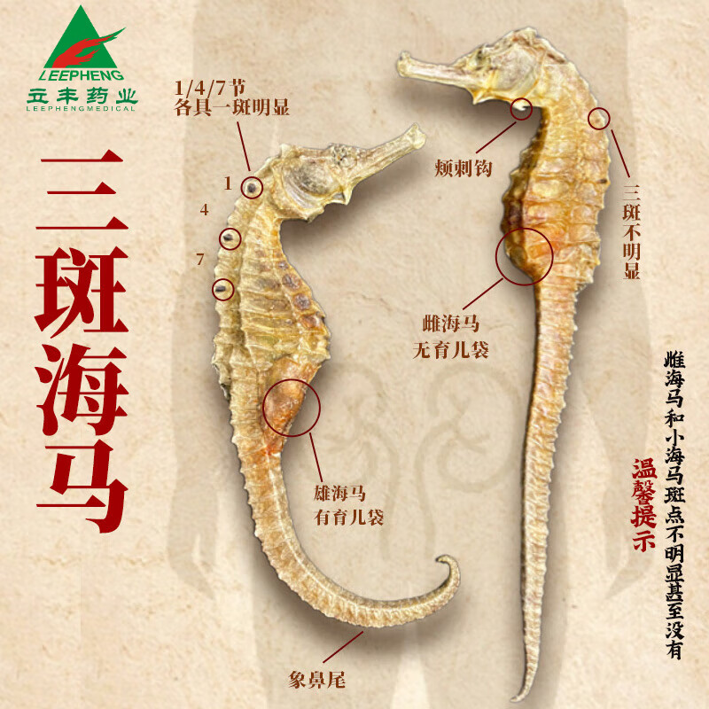 三斑海马2g*1对公母配对