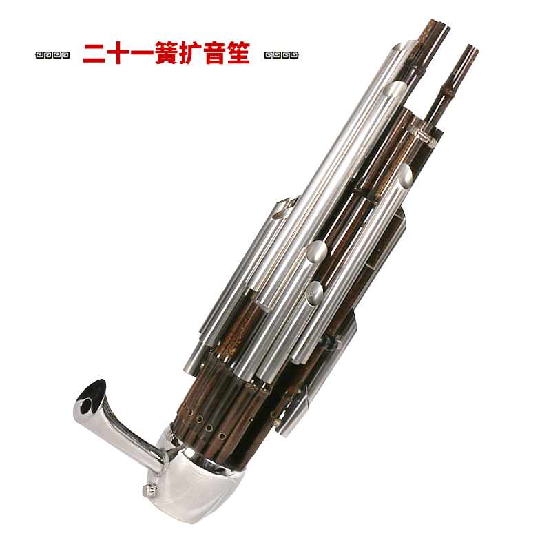 新藝 精致加鍵擴音21簧笙樂器大全圓笙修笙工竽樂器笙包初學者 21簧擴音笙（紫竹白銅管D調(diào)