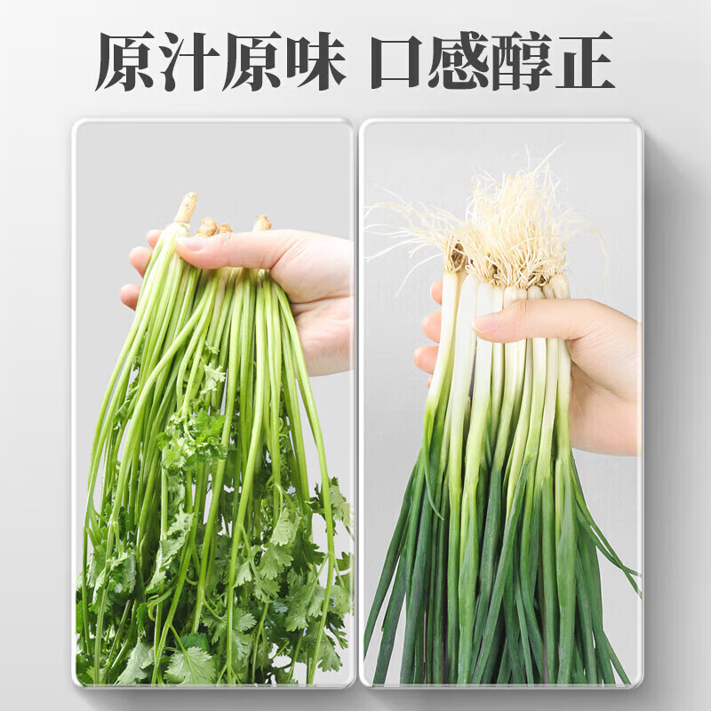 丙田调味组合 脱水香葱脱水香菜 葱花葱末葱碎香菜干香菜碎 蔬菜包干