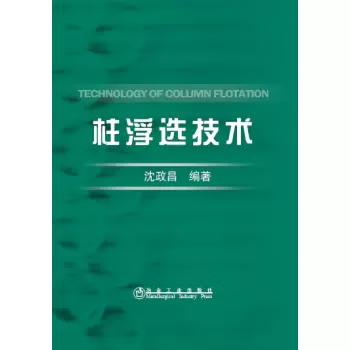 柱浮选技术
