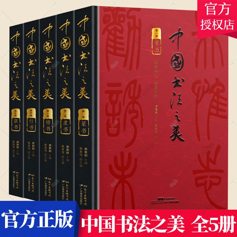正版 中国汉字书法之美 全五卷 篆隶楷行草书法鉴赏 中华书法史书法碑帖书籍 分类鉴赏临习教材书法自学五体毛笔字帖书籍