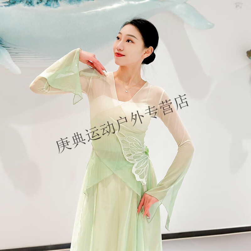 炫逐古典舞演出服女身韵蝴蝶舞蹈服飘逸渐变纱衣中国舞秋冬表演服套装 柳绿渐变(上衣) S
