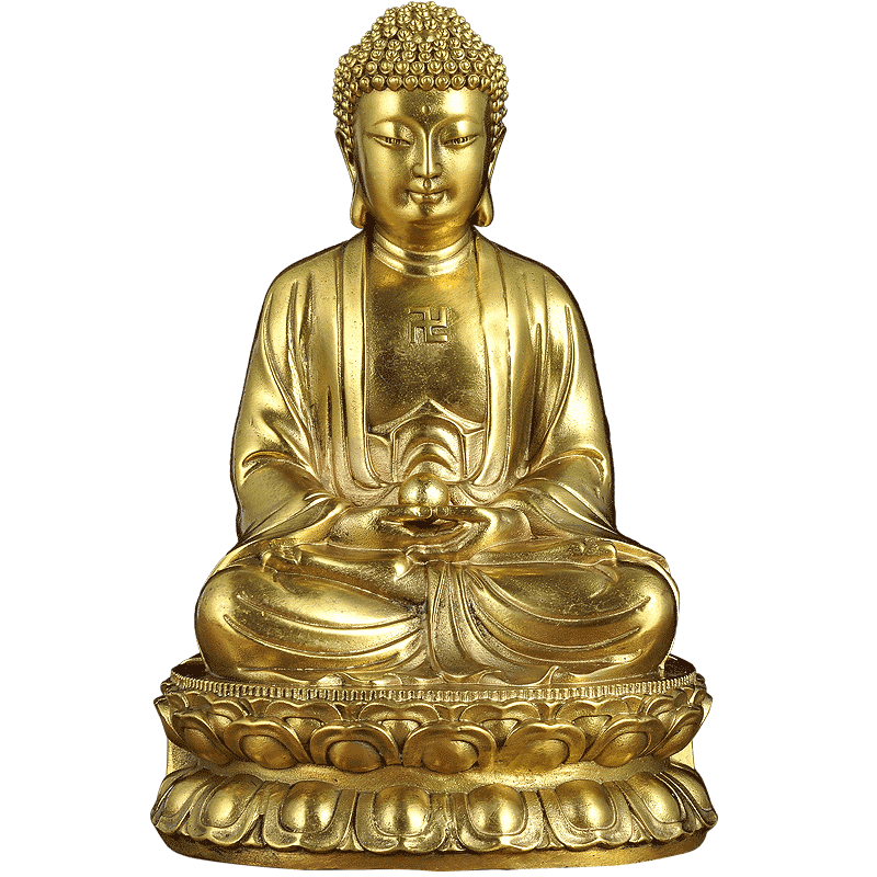 蓮善堂全銅如來佛像擺件大日如來坐如來佛像家居玄關(guān)工藝品 25CM坐如來佛 XS