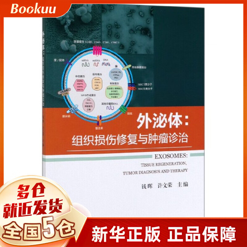 外泌体--组织损伤修复与肿瘤诊治
