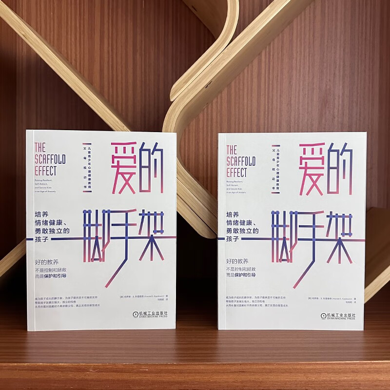 爱的脚手架：培养情绪健康、勇敢独立的孩子详情图