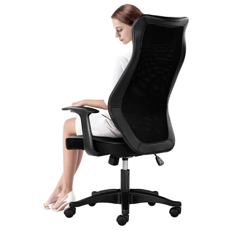 LIANFENG 联丰 DS-8602 人体工学电脑椅 黑色 升级款