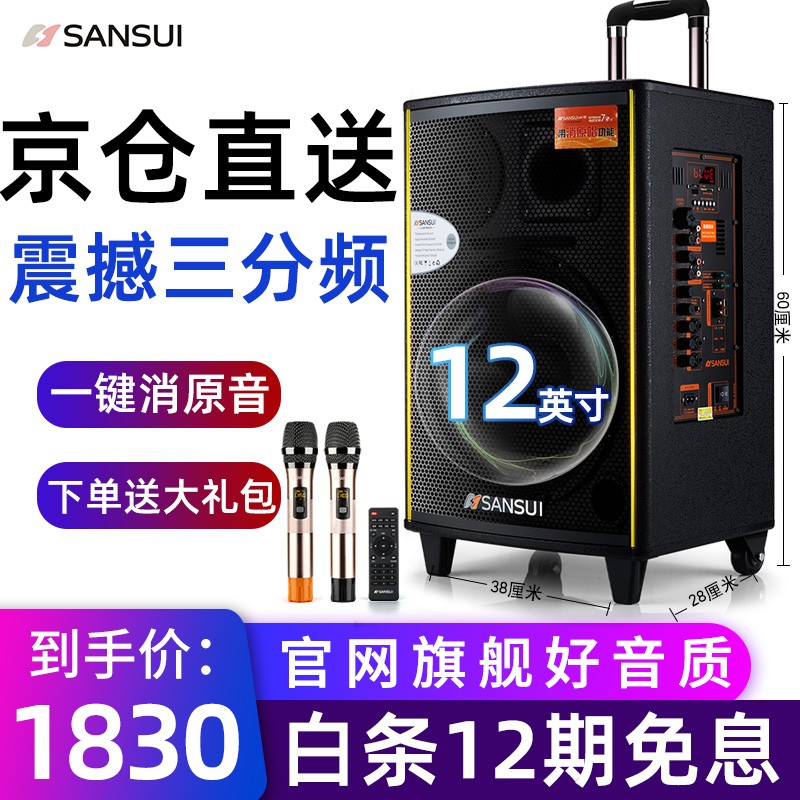 山水（SANSUI） SA1-12吋户外15移动k歌唱歌广场舞拉杆音箱蓝牙室外唱歌大功率音箱 12吋升级版（两支演唱话筒）