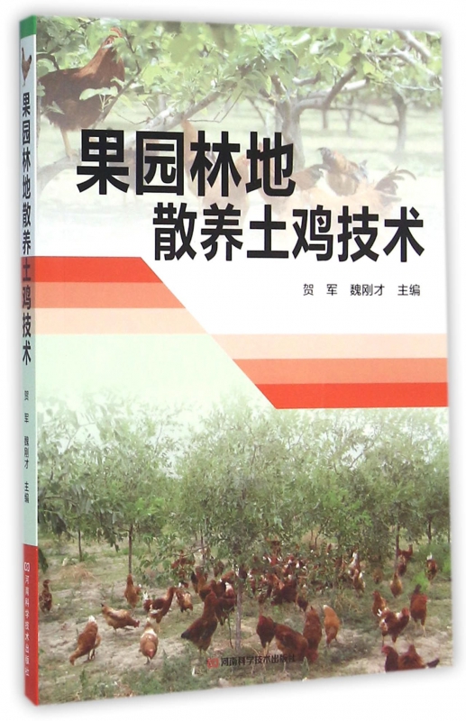 果园林地散养土鸡技术