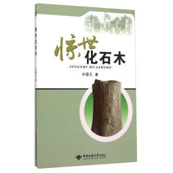 惊世化石木【正版图书】