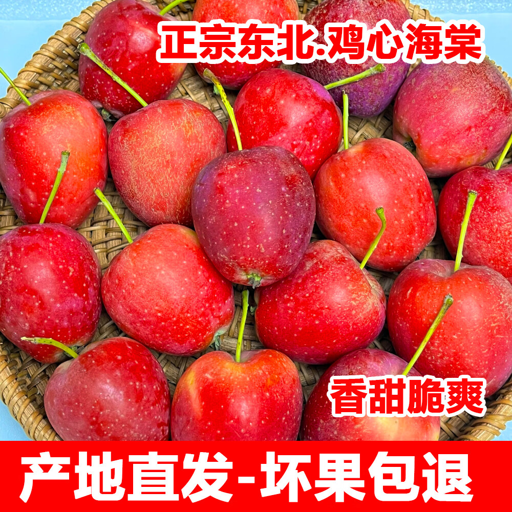 正宗东北鸡心海棠果小苹果应季新鲜孕妇水果海棠产地直发 鸡心果-3斤中果/33-39个