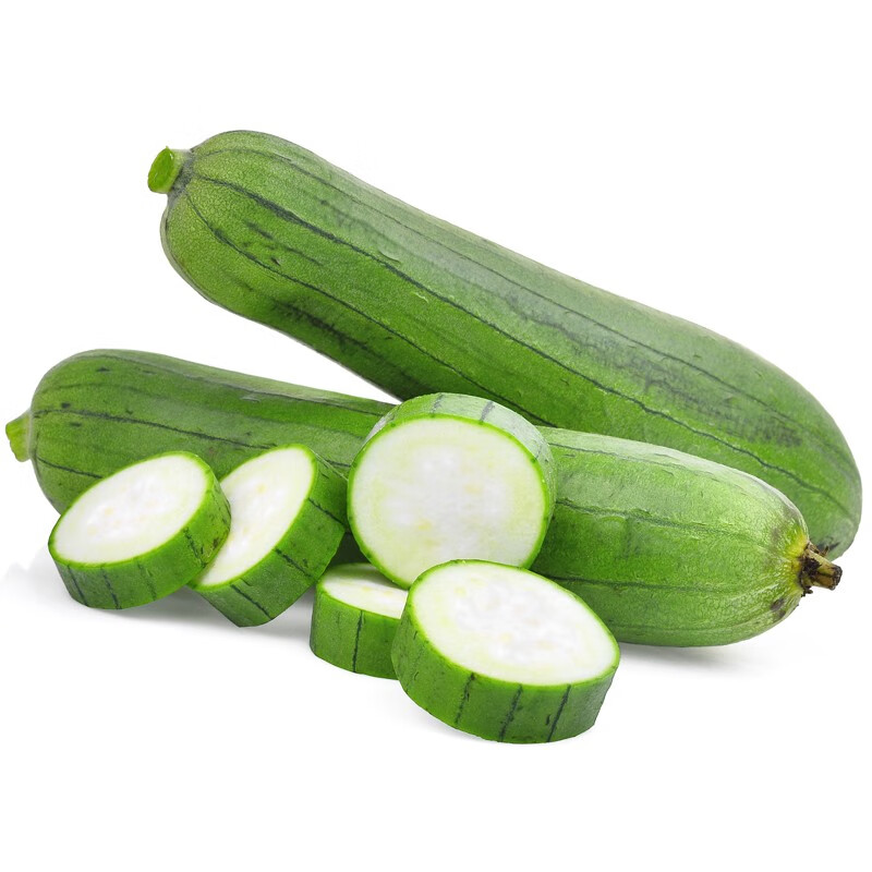 民汇园肉丝瓜种子丝瓜种籽四季特大春早熟蔬菜丝瓜种孑农家春夏丝瓜苗