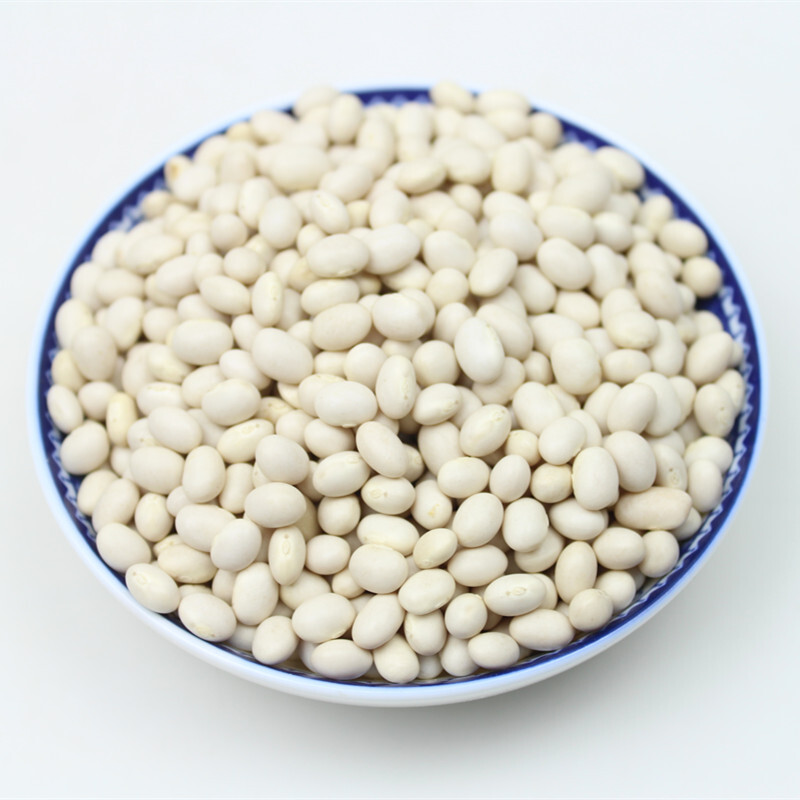 虎钢馋珍珠豆云南农家小白芸豆小白豆炖菜煲汤豆类杂粮粗粮