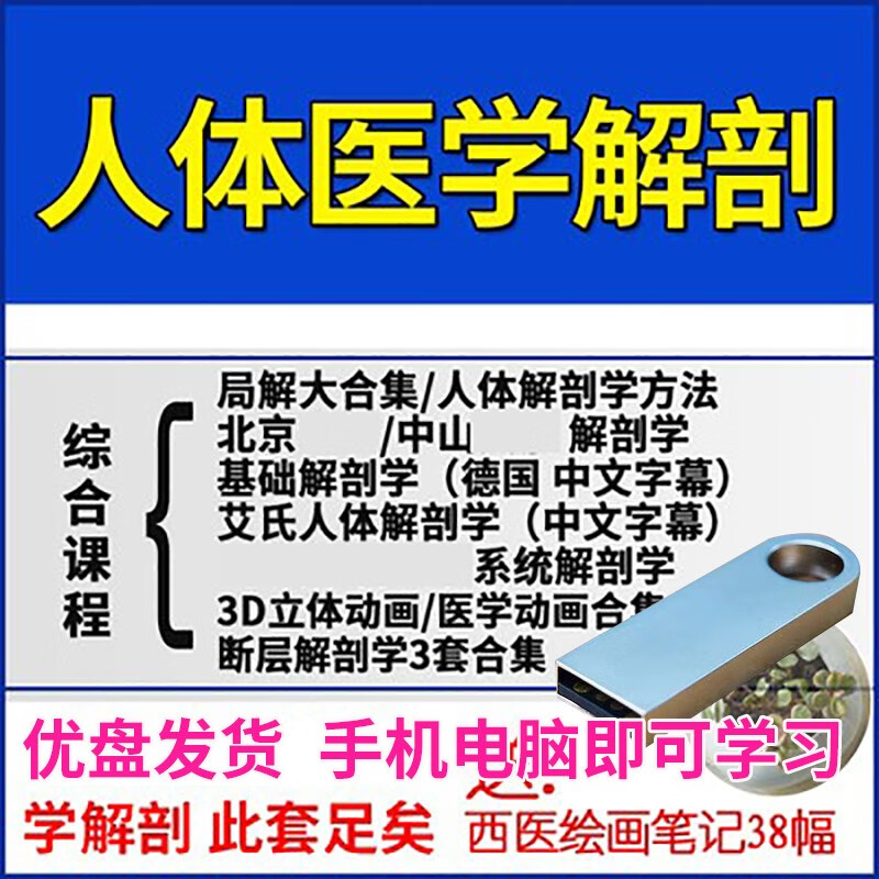 u盘人体医学解剖学习视频局解系统解剖德国基础艾氏解剖中文字幕