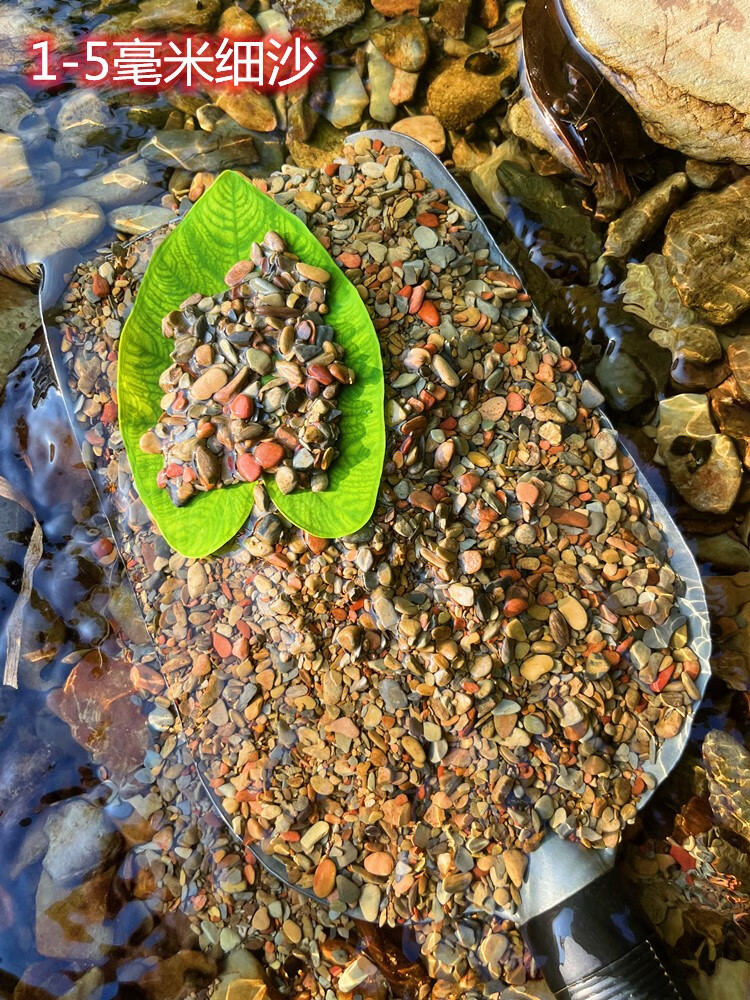 乌龟小鱼雷龙虾虎鱼草缸水族箱原生缸造景装饰铺底砂石 1-5毫米细沙