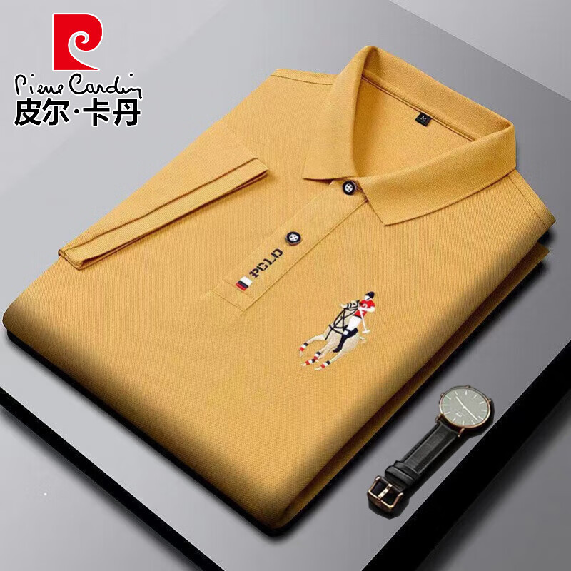 皮尔卡丹(pierre cardin)新品纯棉夏季男士短袖t恤刺绣马标polo保罗衫
