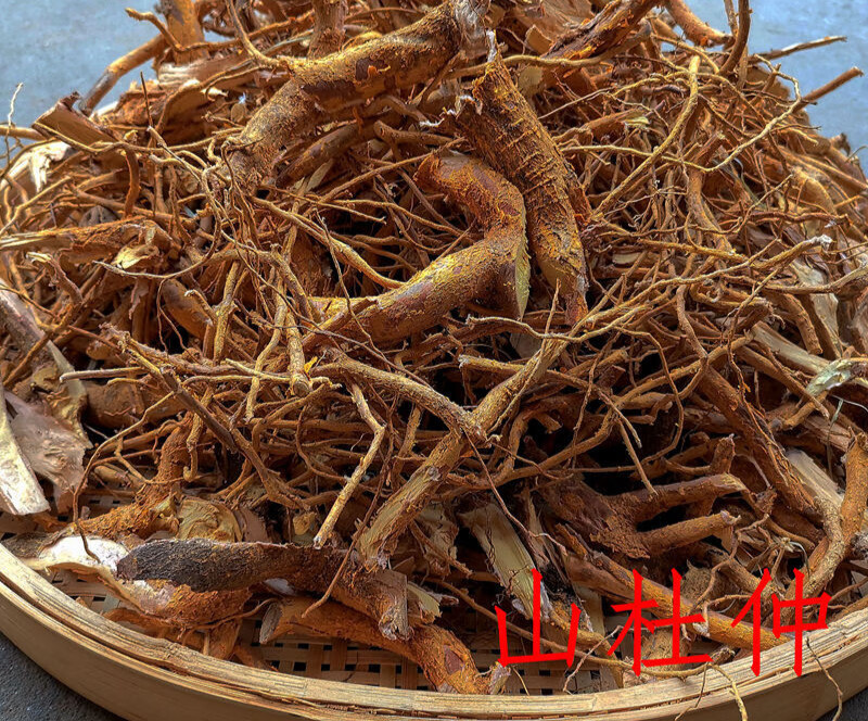 杜仲黄皮藤根炖汤草传统滋补材新鲜晒干500g泡茶泡酒