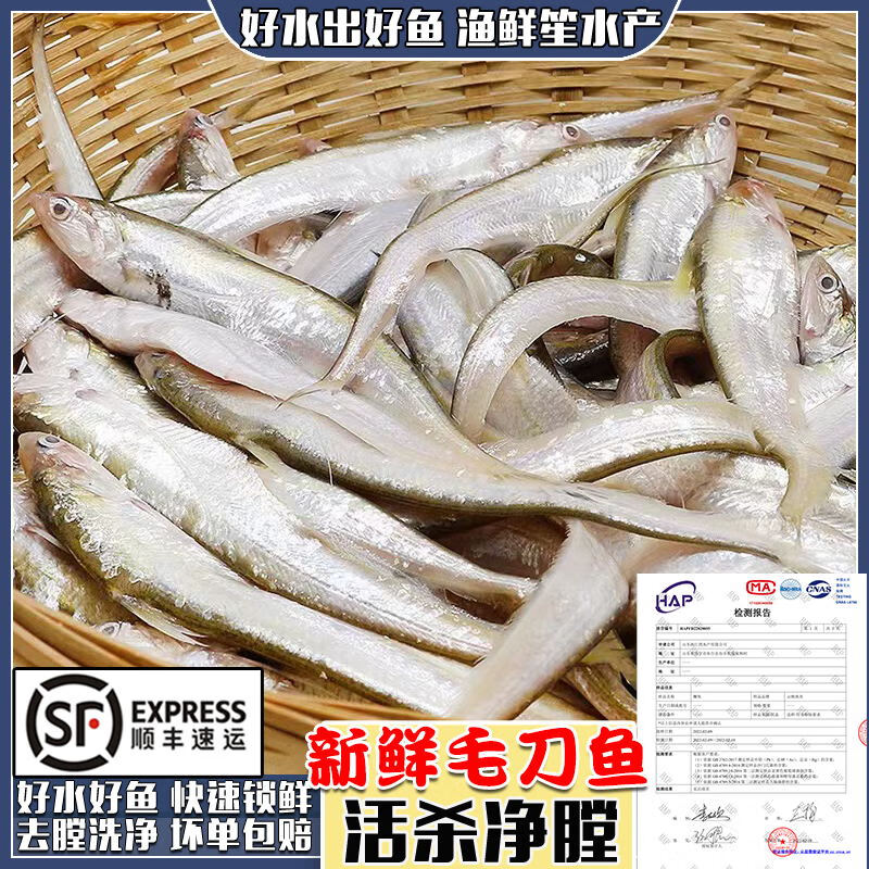 云映渔舟微山湖渔捕新鲜毛刀鱼活鱼现杀刀鱼净膛农家餐厅商用小河鱼小