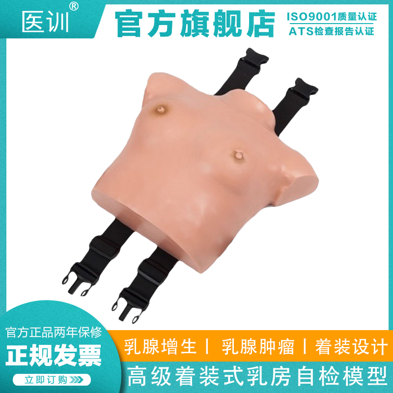 医训 yx/14b着装式乳房自检模型模拟成年女性上半身演示教学各种常见