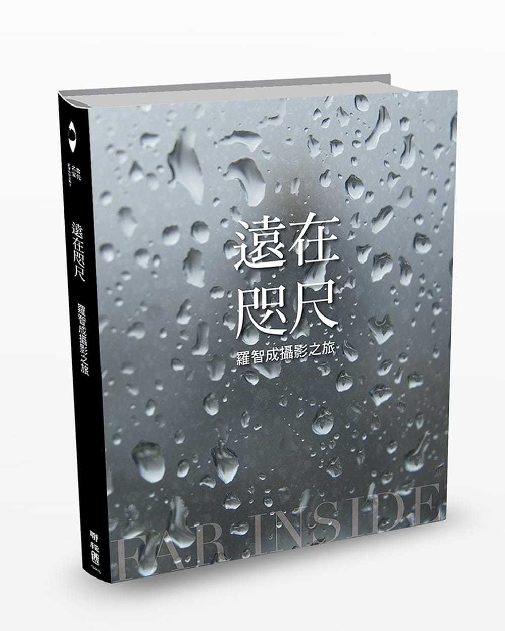 预售 罗智成 远在咫尺：罗智成摄影之旅 联经出版公司