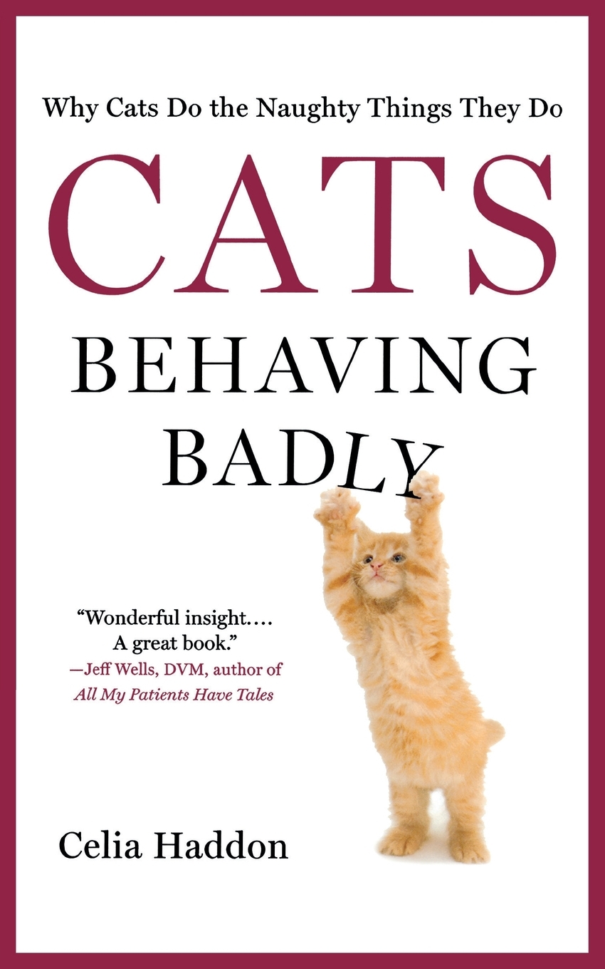 预售 按需印刷cats behaving badly