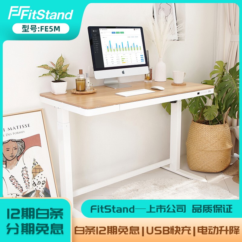 FitStand电动升降桌站立式电脑桌工作台家用折叠桌电脑升降台显示器笔记本学习桌成人写字桌 FE5M原木色桌板1.2*0.6m【带抽屉】
