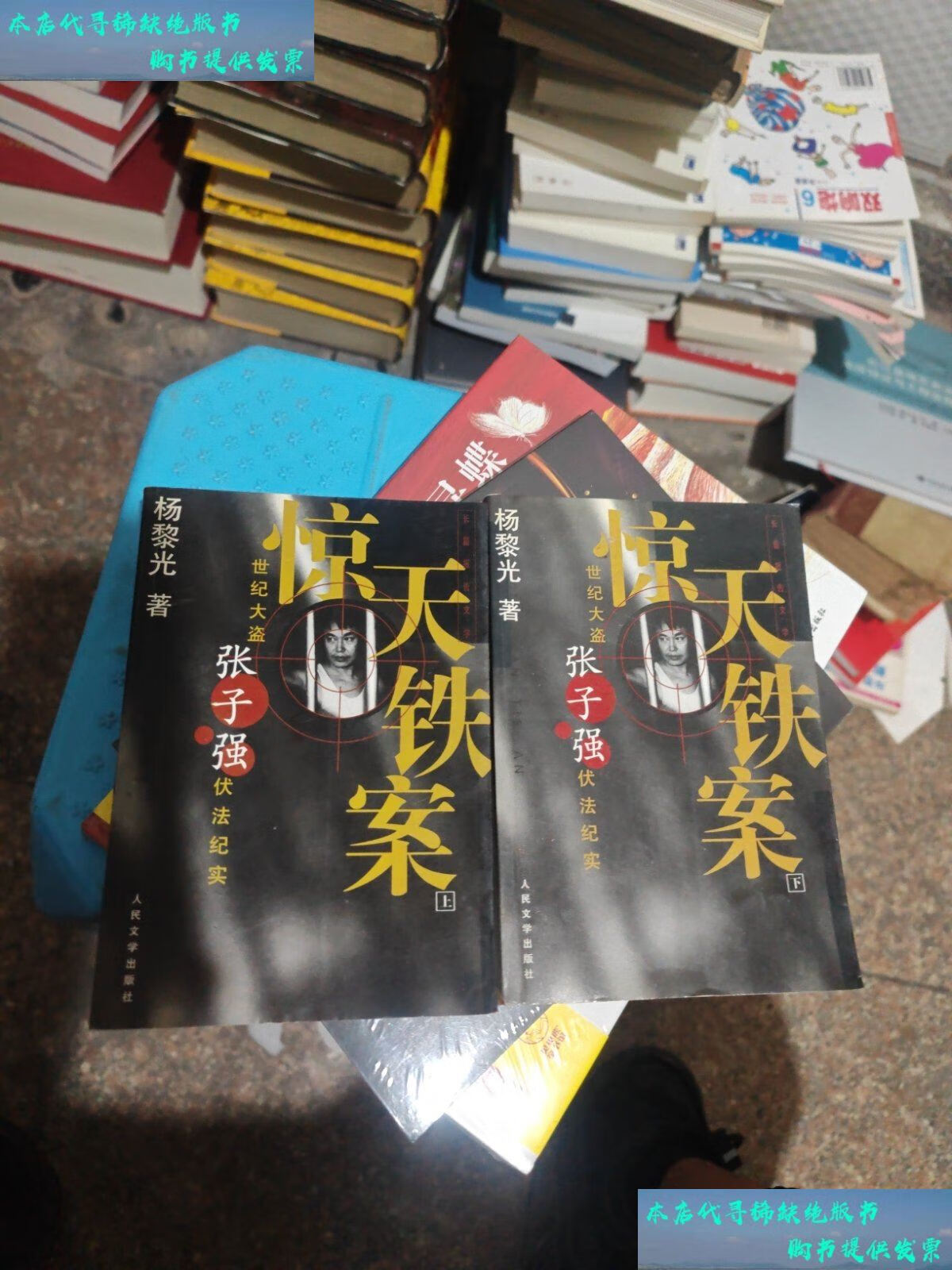 【二手书9成新】惊天铁案(上下) /杨黎光