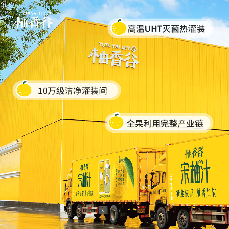 柚香谷宋柚双柚汁复合果汁饮料 胡柚香柚 带皮研磨 富含VC 0脂 罐装 300ml*6罐 罐装