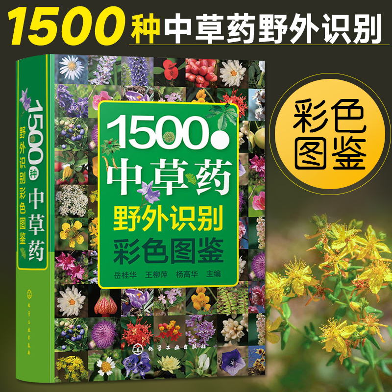 1500种中草药野外识别彩色图鉴 中草药彩图大全书中医入门书籍图解零基础学中药学中药野生草药中 药材图谱书 中医药草本植物图谱