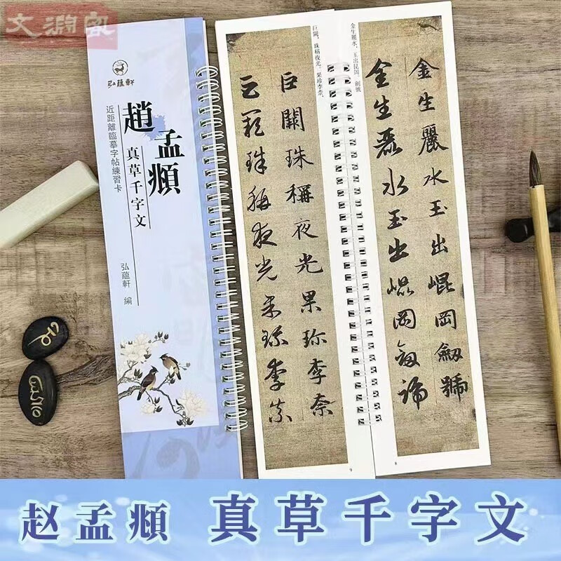 赵孟頫 真草千字文 近距离临摹字帖练字卡 真书千字文 楷书草书对照本