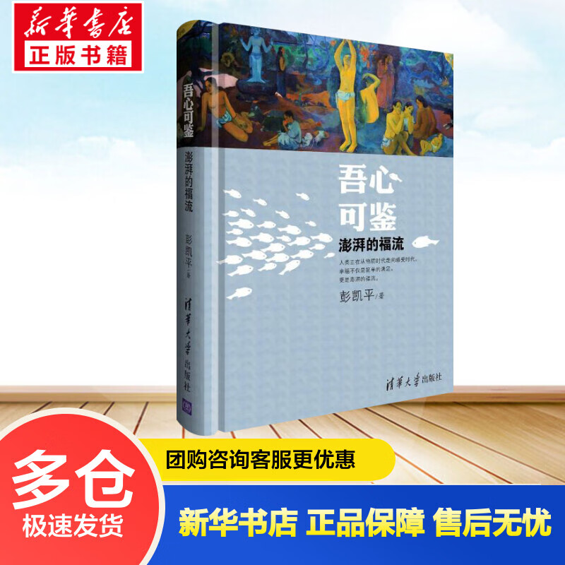 吾心可鉴:澎湃的福流 彭凯平 书籍